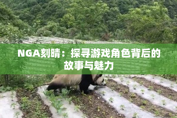 NGA刻晴：探寻游戏角色背后的故事与魅力