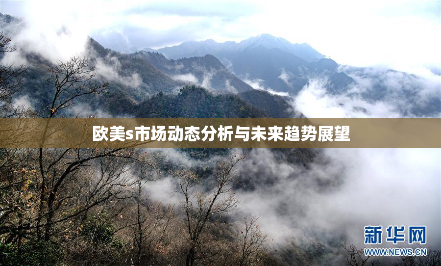 欧美s市场动态分析与未来趋势展望