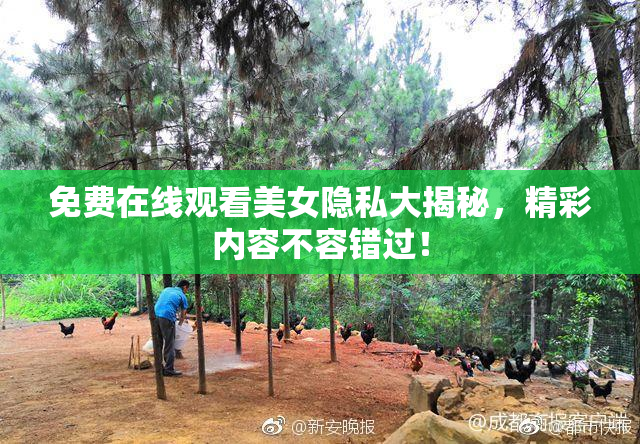 免费在线观看美女隐私大揭秘，精彩内容不容错过！
