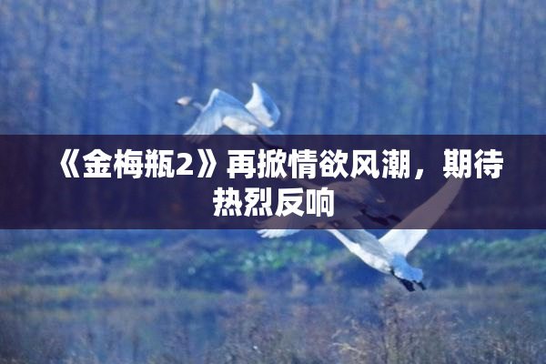 《金梅瓶2》再掀情欲风潮，期待热烈反响