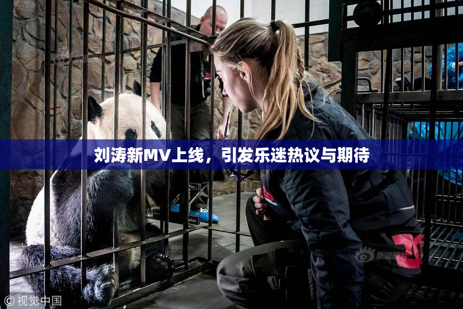 刘涛新MV上线，引发乐迷热议与期待