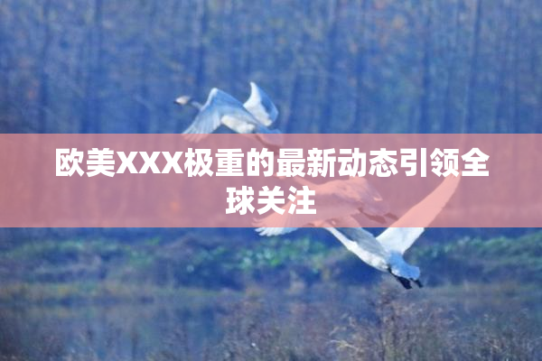 欧美XXX极重的最新动态引领全球关注