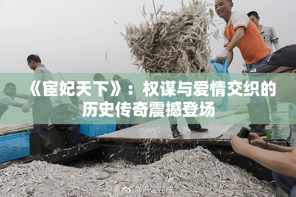 《宦妃天下》：权谋与爱情交织的历史传奇震撼登场