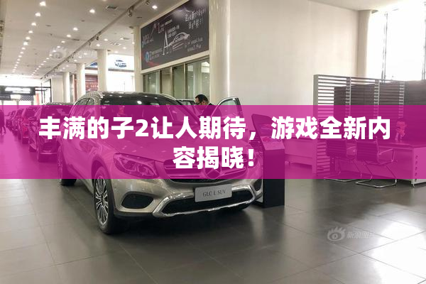 丰满的子2让人期待，游戏全新内容揭晓！
