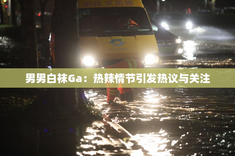 男男白袜Ga：热辣情节引发热议与关注