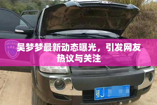 吴梦梦最新动态曝光，引发网友热议与关注