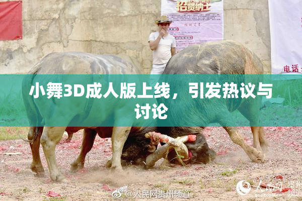 小舞3D成人版上线，引发热议与讨论