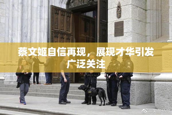 蔡文姬自信再现，展现才华引发广泛关注