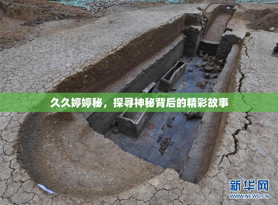 久久婷婷秘，探寻神秘背后的精彩故事
