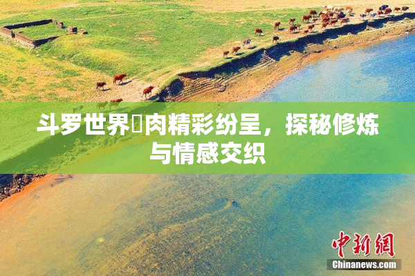 斗罗世界婬肉精彩纷呈，探秘修炼与情感交织