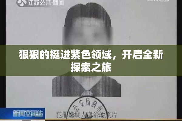 狠狠的挺进紫色领域，开启全新探索之旅