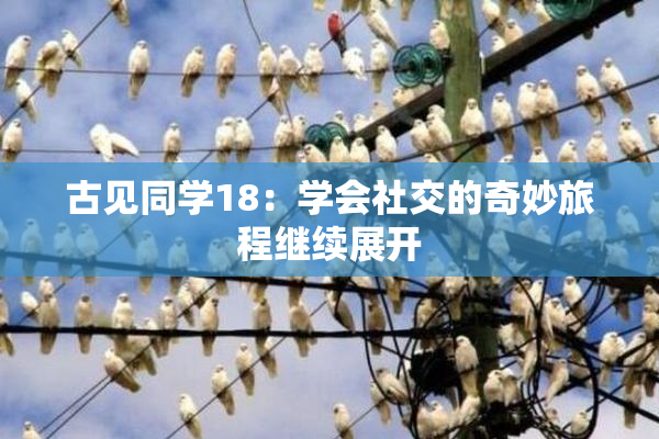 古见同学18：学会社交的奇妙旅程继续展开