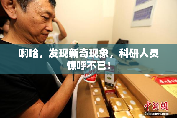 啊哈，发现新奇现象，科研人员惊呼不已！