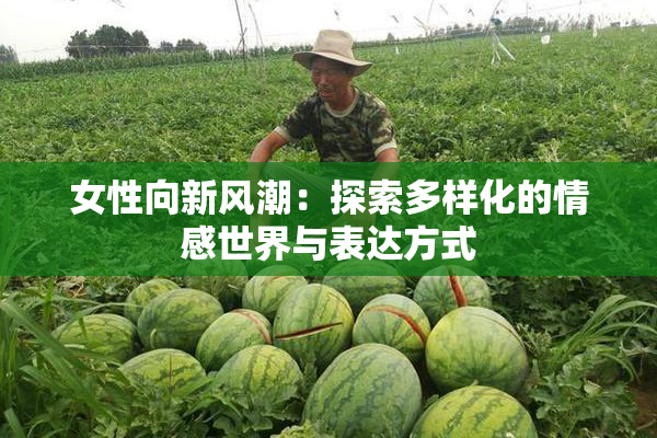女性向新风潮：探索多样化的情感世界与表达方式