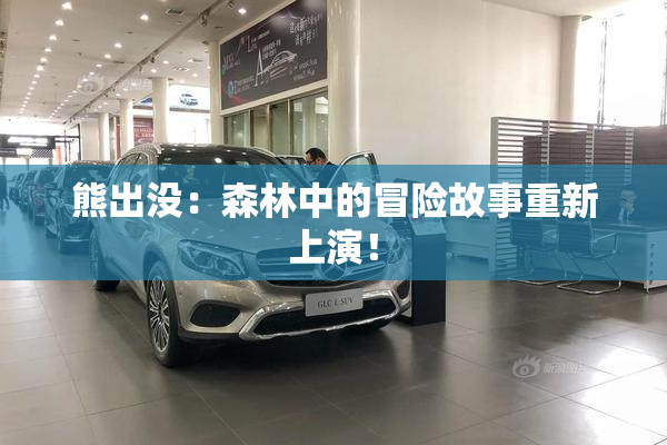 熊出没：森林中的冒险故事重新上演！