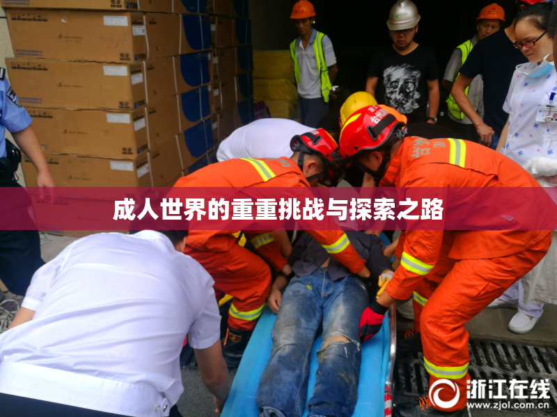 成人世界的重重挑战与探索之路