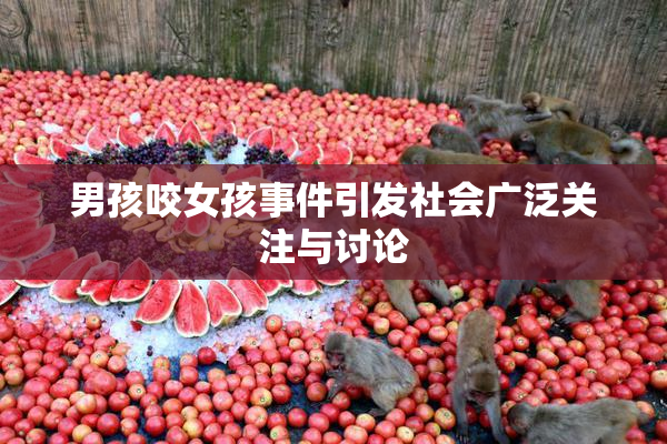 男孩咬女孩事件引发社会广泛关注与讨论