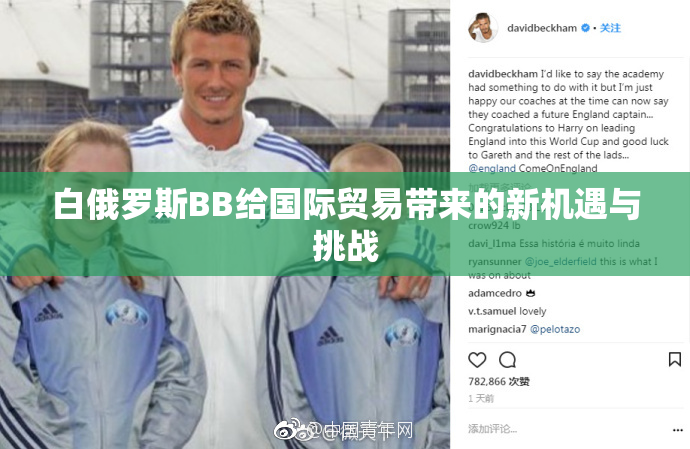 白俄罗斯BB给国际贸易带来的新机遇与挑战