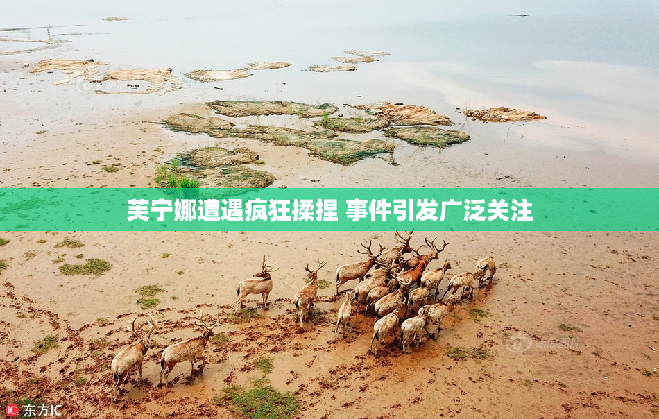 芙宁娜遭遇疯狂揉捏 事件引发广泛关注