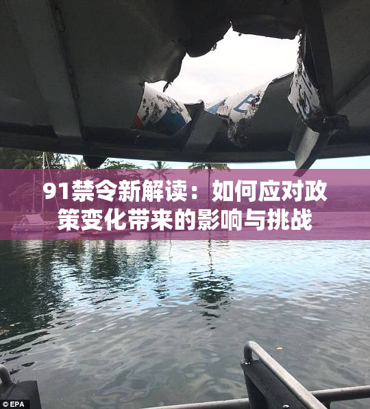 91禁令新解读：如何应对政策变化带来的影响与挑战