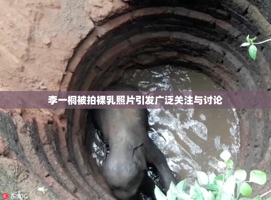 李一桐被拍裸乳照片引发广泛关注与讨论