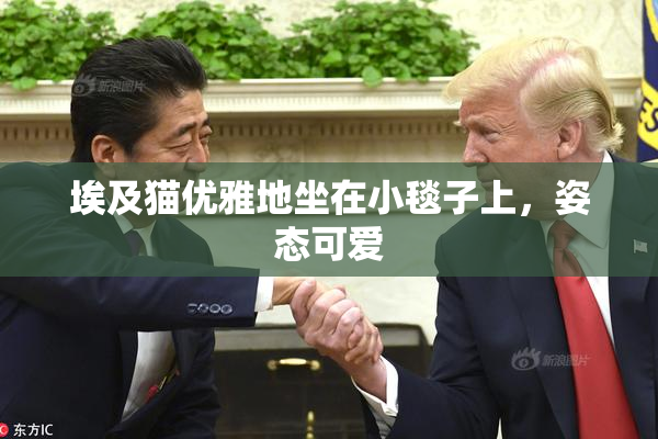 埃及猫优雅地坐在小毯子上，姿态可爱