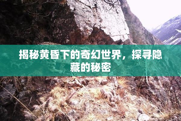 揭秘黄昏下的奇幻世界，探寻隐藏的秘密