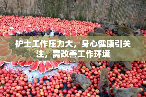 护士工作压力大，身心健康引关注，需改善工作环境