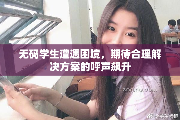 无码学生遭遇困境，期待合理解决方案的呼声飙升