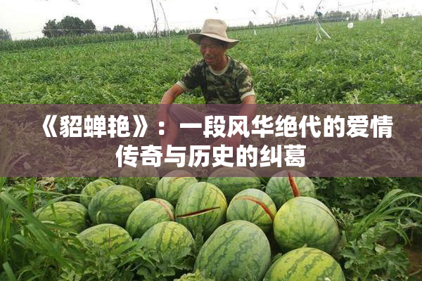 《貂蝉艳》：一段风华绝代的爱情传奇与历史的纠葛