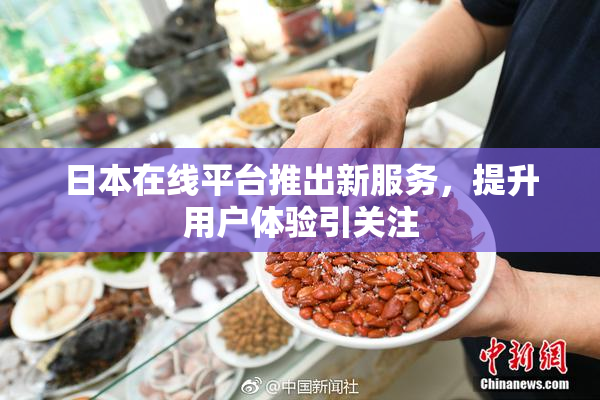 日本在线平台推出新服务，提升用户体验引关注