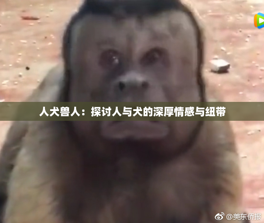 人犬兽人：探讨人与犬的深厚情感与纽带