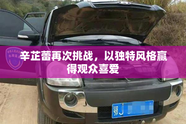 辛芷蕾再次挑战，以独特风格赢得观众喜爱