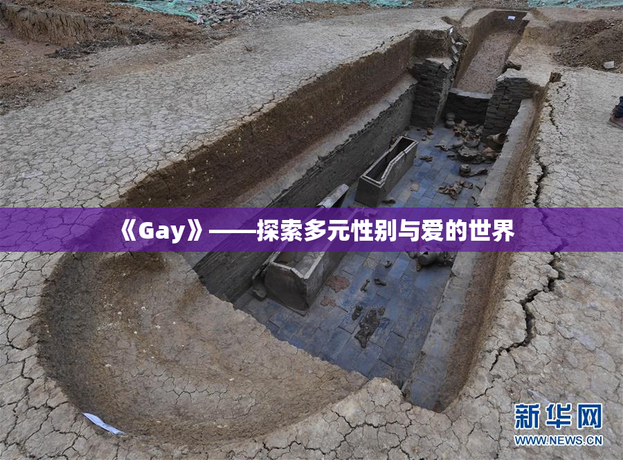 《Gay》——探索多元性别与爱的世界