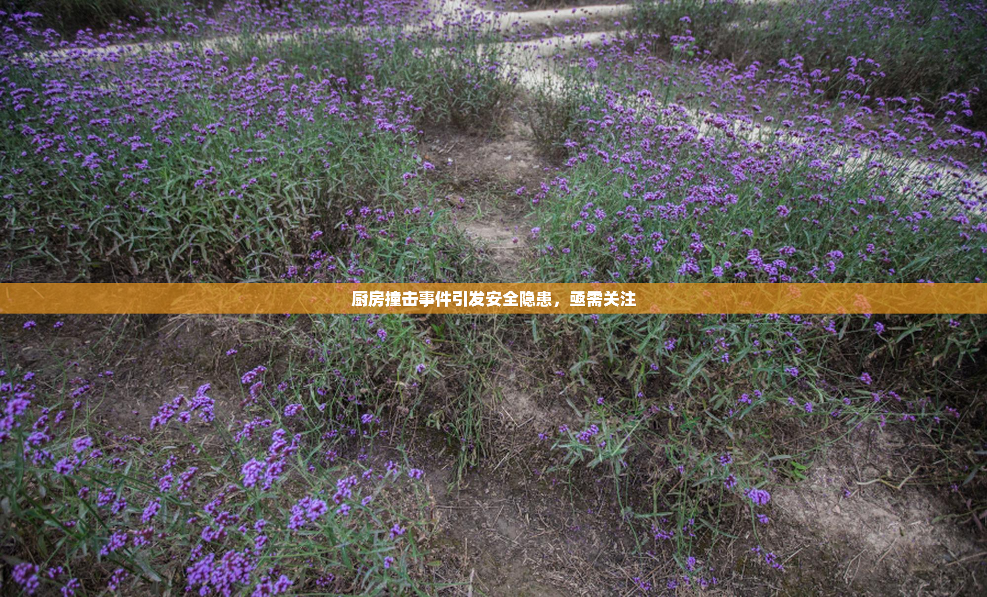 厨房撞击事件引发安全隐患，亟需关注