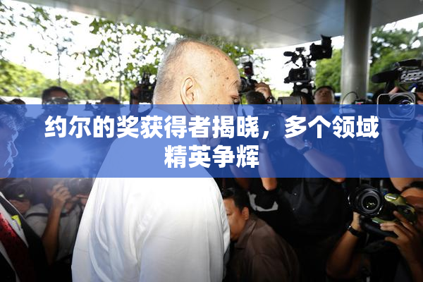 约尔的奖获得者揭晓，多个领域精英争辉
