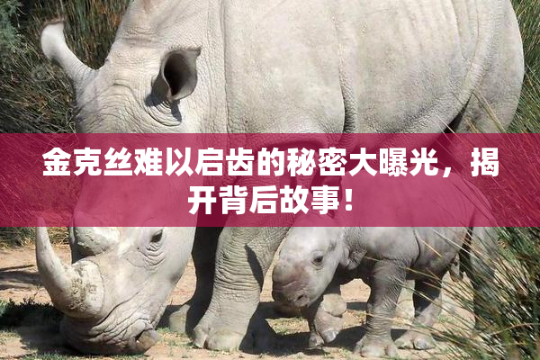 金克丝难以启齿的秘密大曝光，揭开背后故事！