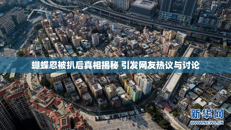 蝴蝶忍被扒后真相揭秘 引发网友热议与讨论