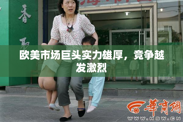 欧美市场巨头实力雄厚，竞争越发激烈