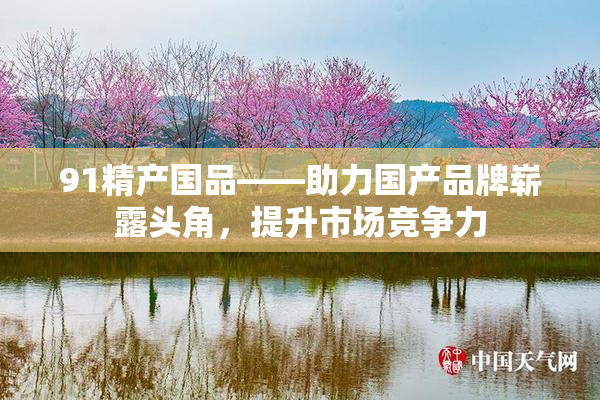 91精产国品——助力国产品牌崭露头角，提升市场竞争力