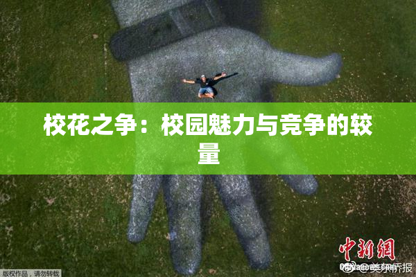 校花之争：校园魅力与竞争的较量