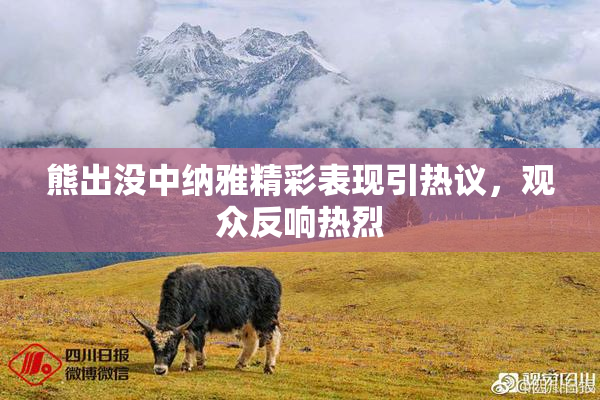 熊出没中纳雅精彩表现引热议，观众反响热烈