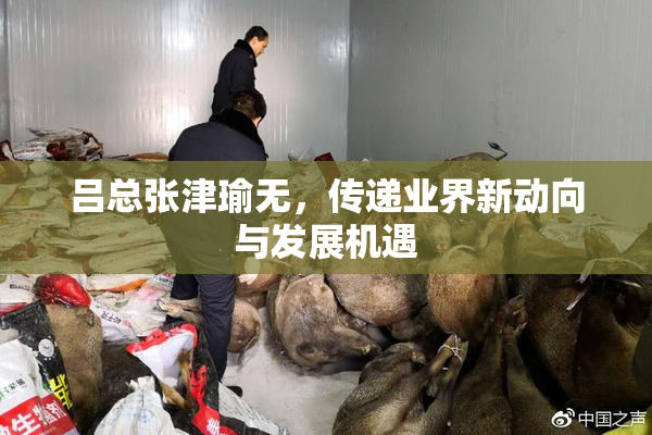 吕总张津瑜无，传递业界新动向与发展机遇