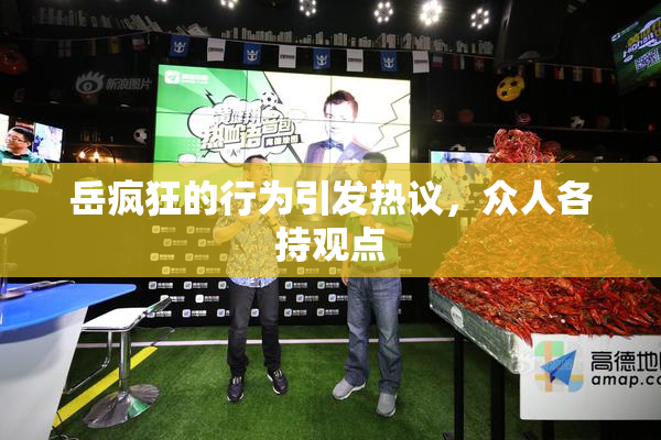 岳疯狂的行为引发热议，众人各持观点