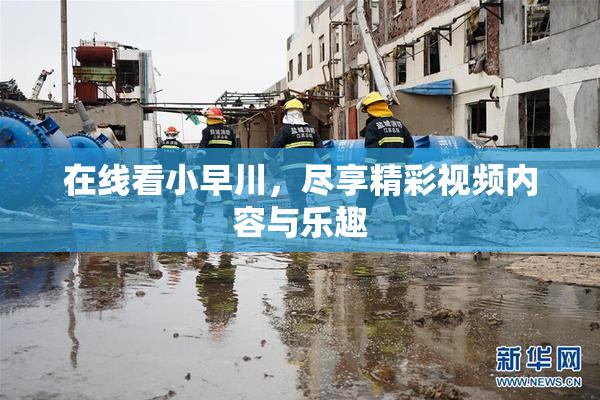 在线看小早川，尽享精彩视频内容与乐趣