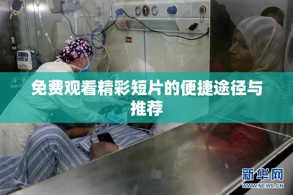免费观看精彩短片的便捷途径与推荐