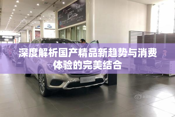 深度解析国产精品新趋势与消费体验的完美结合