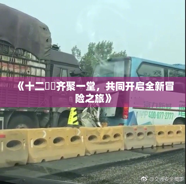 《十二妺妺齐聚一堂，共同开启全新冒险之旅》