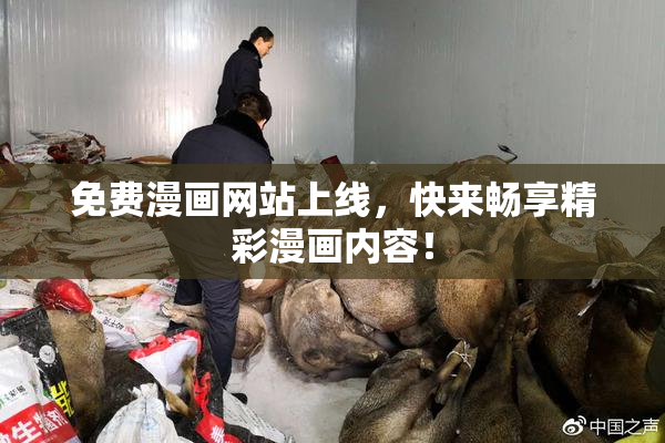 免费漫画网站上线，快来畅享精彩漫画内容！