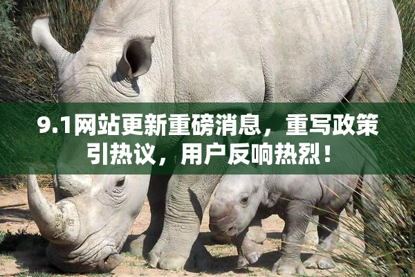 9.1网站更新重磅消息，重写政策引热议，用户反响热烈！